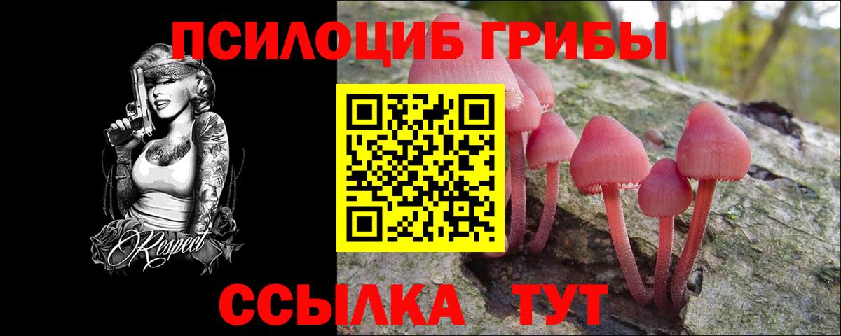 Псилоцибиновые грибы GOLDEN TEACHER Кохма