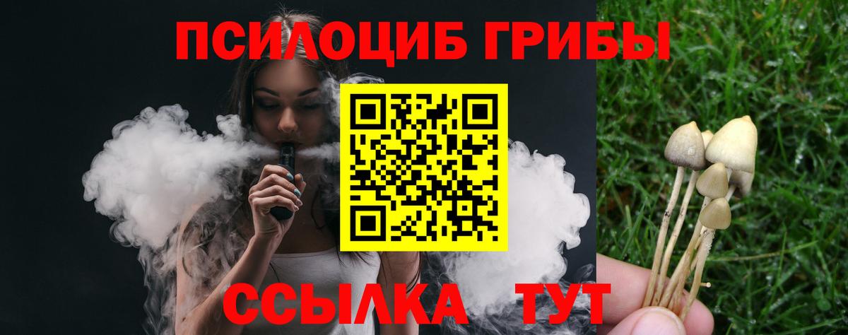Галлюциногенные грибы мицелий  Псилоцибиновые грибы GOLDEN TEACHER  Вход с VPN  даркнет сайт  Кохма 