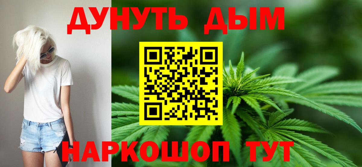 Конопля планчик Кохма